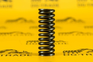 Пружина Carraro 125209