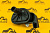 Клапан отопителя салона JCB (Original) 25/221239